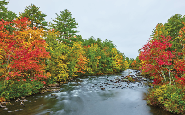 Bild: "Flusslandschaft im Herbst"