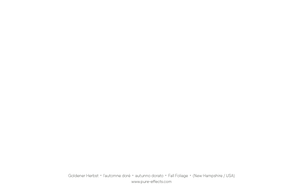 Karte: Goldener Herbst