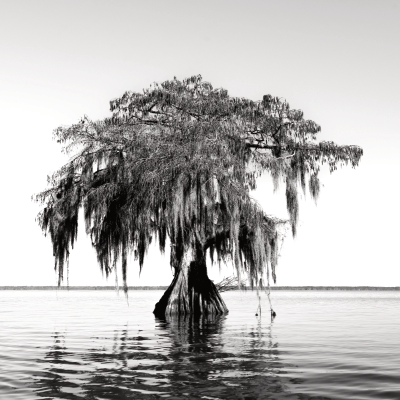 Trauerkarte (englisch)